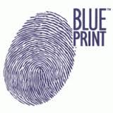 FILTRO DE ACEITE  BLUE PRINT